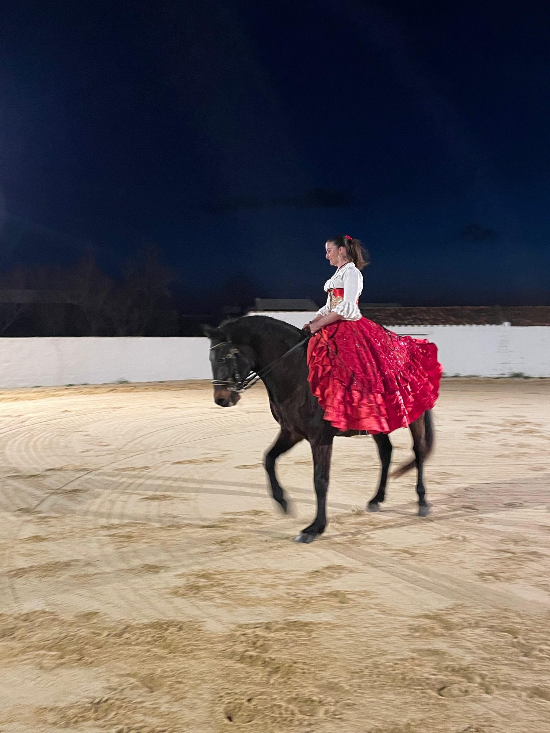 🌿Séjour récompense en Camargue : une immersion entre nature, tradition et esprit d’équipe